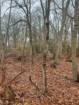 Land Parcel in Nissequogue Village