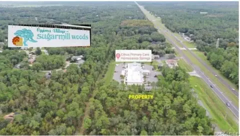 Homosassa Land For Sale