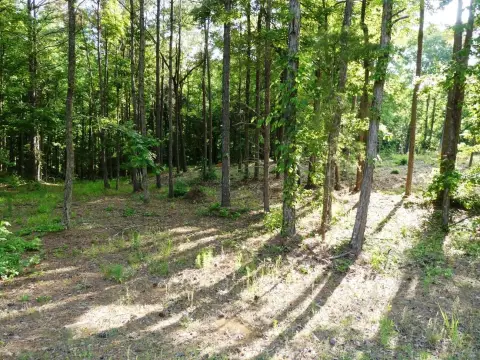 Residential Lot Near Lewis Smith