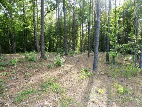 Residential Lot Near Lewis Smith