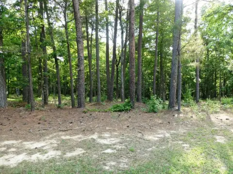 Residential Lot Near Lewis Smith