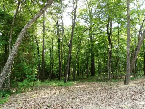 Residential Land Near Lewis Smith
