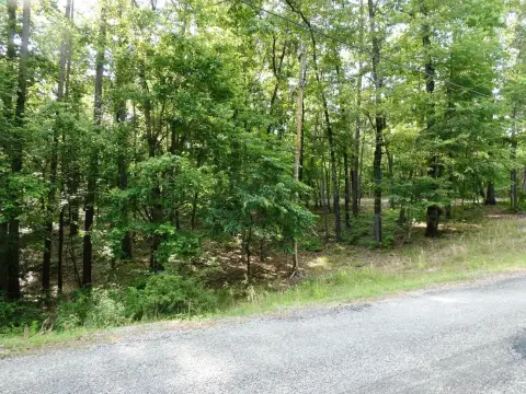 Land Near Lewis Smith Lake