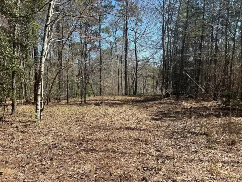 Off-Shore Recreation Land Lot