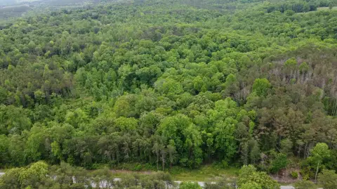 Recreation Land with Creek Frontage