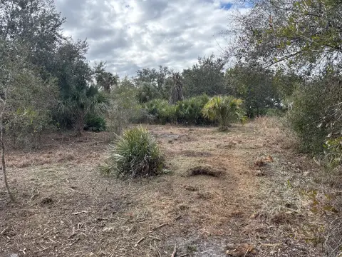 Okeechobee Land with Mature Oaks