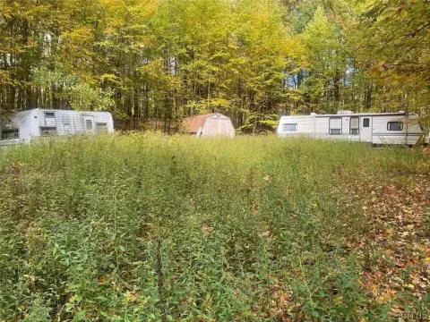 Wooded Hunting Land with Camp Clearing