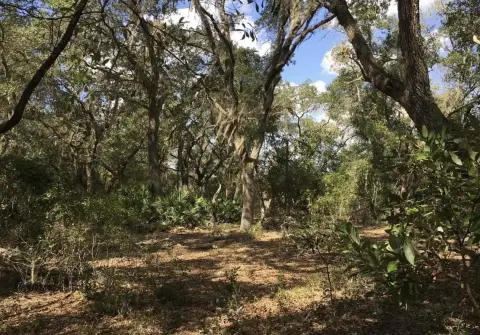 Waterfront Land in Inverness, FL