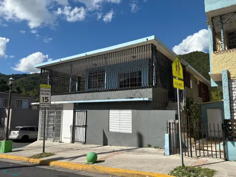 Mixed-Use Property in Comerío