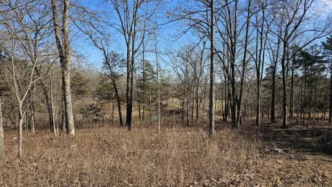 Ozark County Land with Utilities