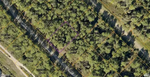 Residential Land in Growing North Port