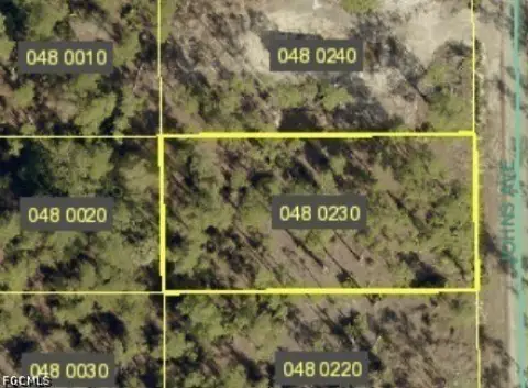 Residential Lot in Lehigh Acres