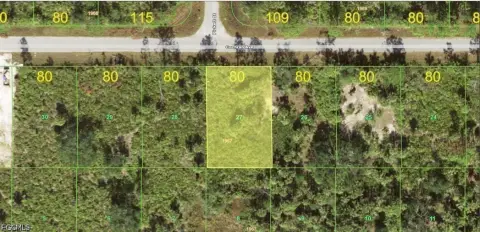 Residential Lot in Port Charlotte