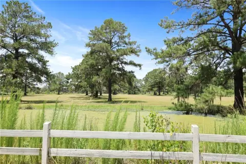 218 Acres Coastal Land, Savannah