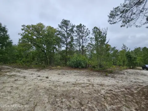Secluded Land in Palatka, FL