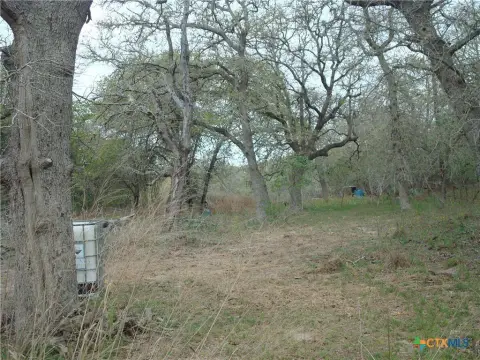 Residential Land in Seguin, TX