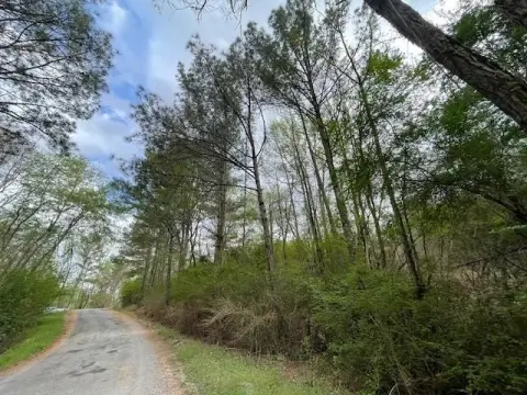 Land in Haleyville, Alabama