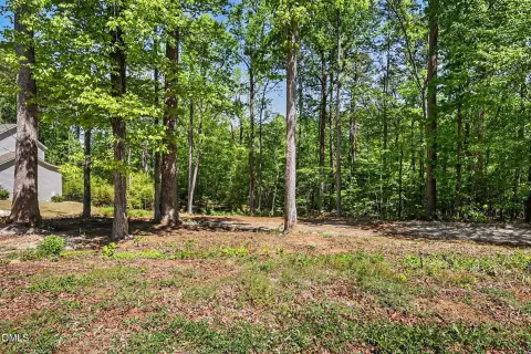 Wooded Lot in Cary
