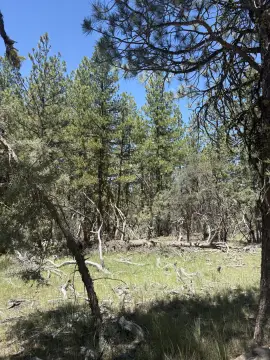 Bonanza, OR Land Opportunity