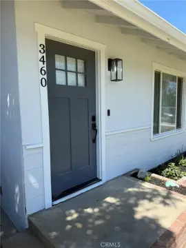 Modern Multi-Family Property