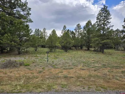 Land For Sale, Ridgway, CO