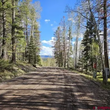 Land in Cimarron, Colorado