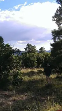 Land in Pagosa Springs, CO