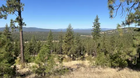 20 Acres with Mountain Views
