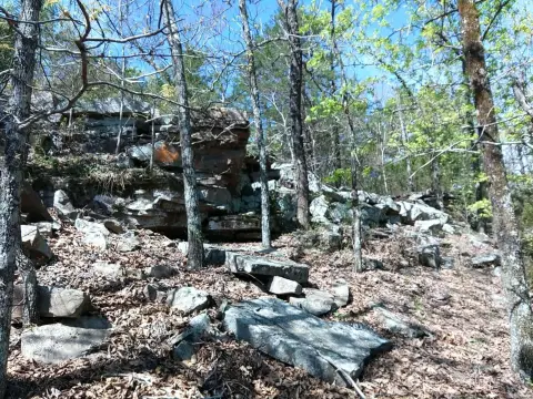 Midland, AR Timbered Acreage