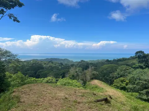 Ocean View Land For Sale