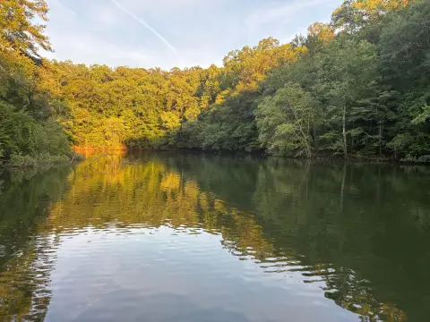 Unrestricted Waterfront Hunting Land
