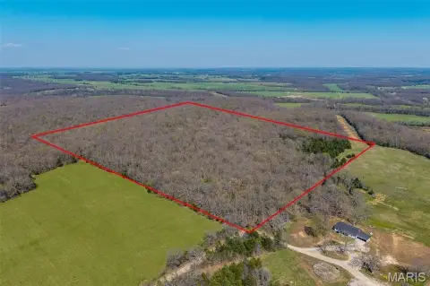 Secluded 40-Acre Wooded Land