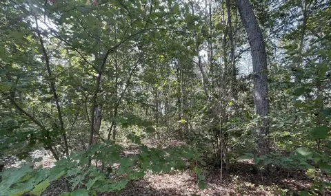 Rehoboth Buildable Lot Opportunity