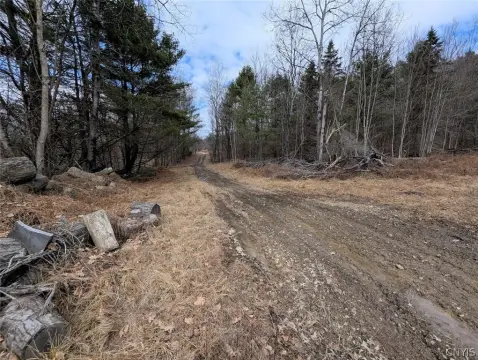 57 Acres of Hunting/Timber Land