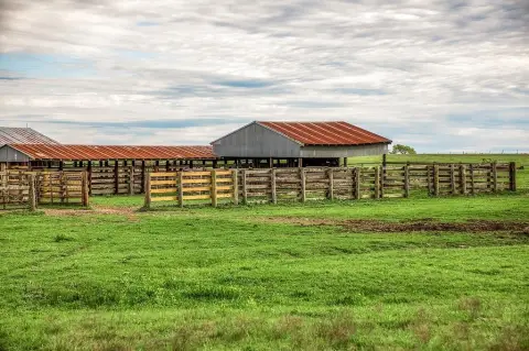 Farmland with Cattle Pens and Barn