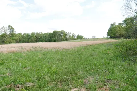 Ozarks Land with Lush Pasture