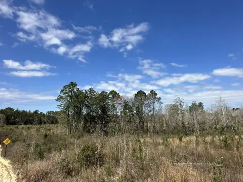 Agricultural Land with Creek