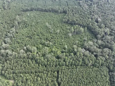 50 Acres of Rural Land