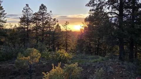 Land in Pagosa Springs, CO