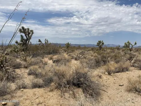 Desert Recreation Land with Joshua Tree