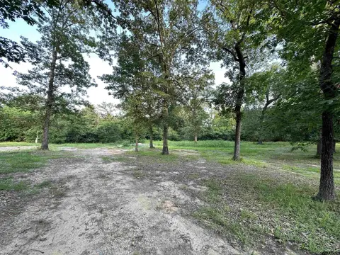 Wooded Recreational Land with Ponds