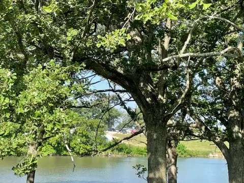 Corning, IA Vacant Land
