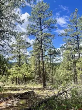 Recreation Land with Seasonal RV Access