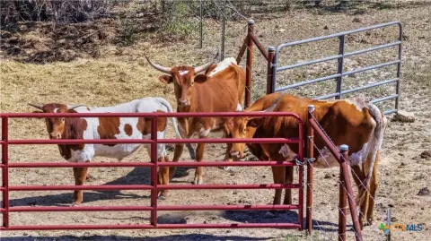 Fischer, TX Land Opportunity