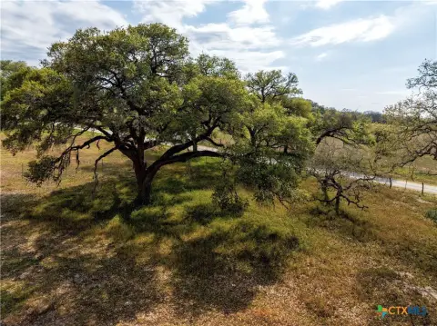Hallettsville Land Opportunity