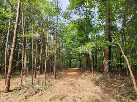 Recreational Land with Timber Mix
