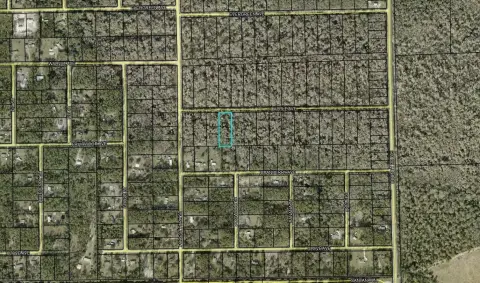 Land For Sale, Bunnell, FL