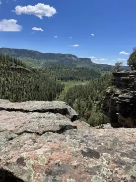 Mountain Recreation Land with Forest Access
