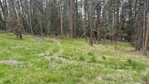 Recreational Mountain Lot