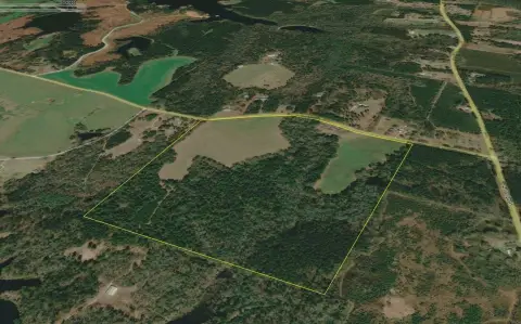 100 Acres Rolling Land Sumrall